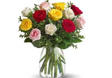 12 Assorted Roses in Vase